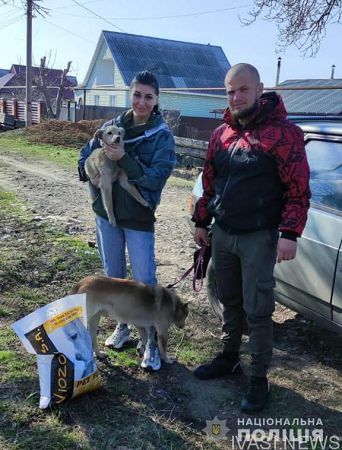 В Раздельной от голода спасены восемь собак