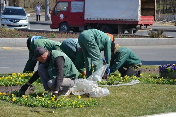 На площади Десятого апреля в Одессе высадят 25 тысяч цветов