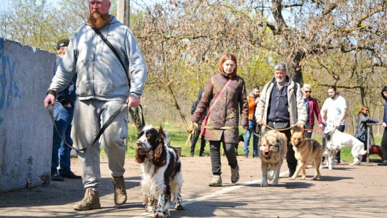 В Одессе собак учат искать взрывчатку (ФОТО, ВИДЕО)