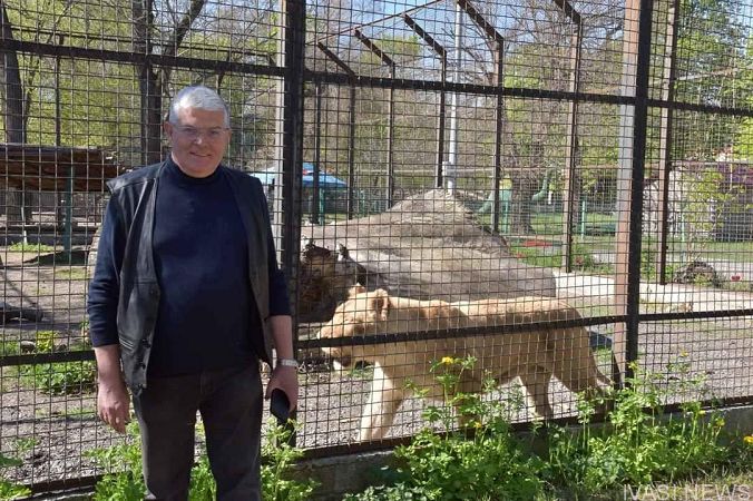 Львы из харьковского экопарка уже адаптировались в Одессе