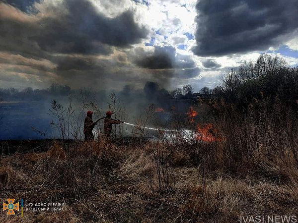 В Одесской области не унимаются поджигатели: пострадал заповедник