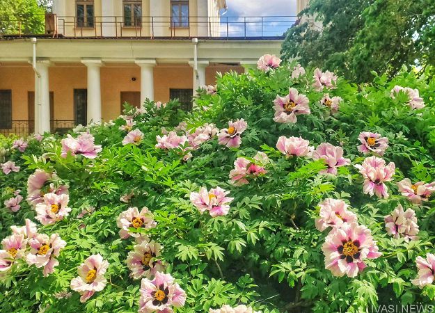 Одесский Ботанический сад приглашает на экскурсии