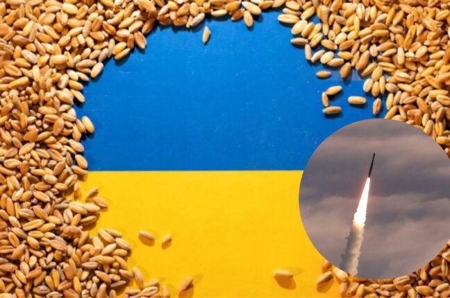 У порту Одеси, який атакували росіяни, знаходилось зерно на експорт: коментарі