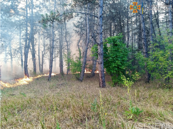 У Березівському районі горить ліс: задіяно 11 одиниць пожежної техніки