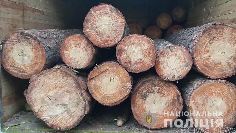 Житель Подільського району незаконно спилив понад десяток кримських сосен