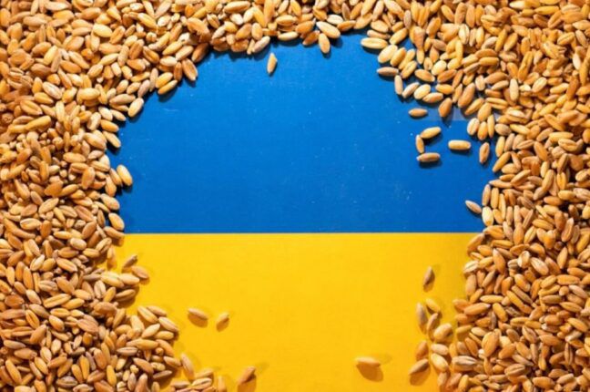 ООН працює над продовженням експорту українського зерна з портів Великої Одеси на рік
