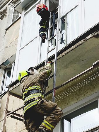 Поки господарів не було вдома: одеські рятувальники визволили двох песиків із задимленої квартири