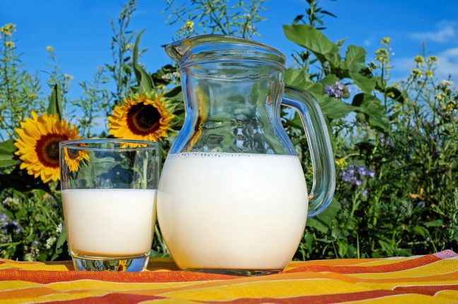 Експорт молочної продукції з України у жовтні перевищив довоєнний рівень