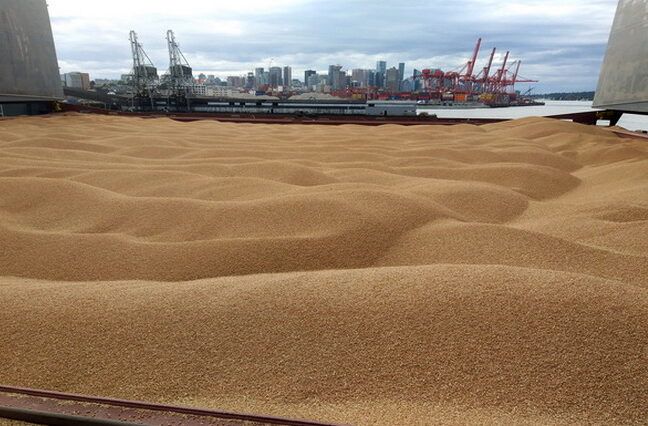За минулий тиждень експорт зерна впав удвічі