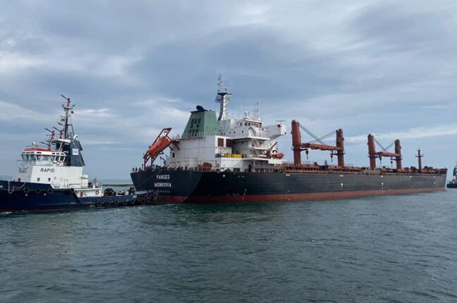 Вже другий день поспіль судна із зернової ініціативи не можуть вийти з портів України через негоду