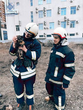 В Одесі рятувальники викопали траншею, щоб урятувати цуценя (фото)