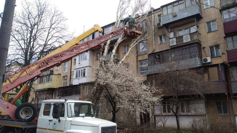 В Одесі вітер повалив 14 дерев, постраждала жінка