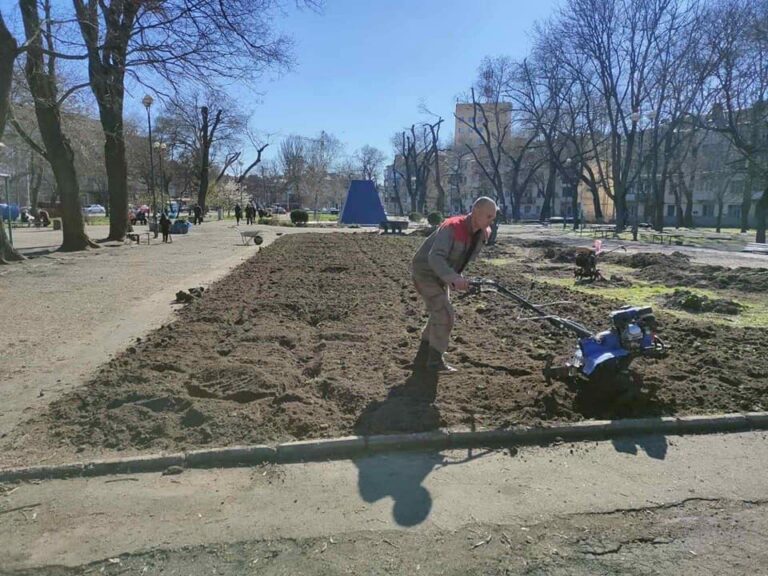 У Прохорівському сквері висадять понад 100 кленів