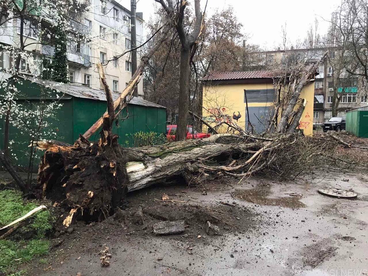 В Одесі через пориви вітру почалися аварійні відключення світла