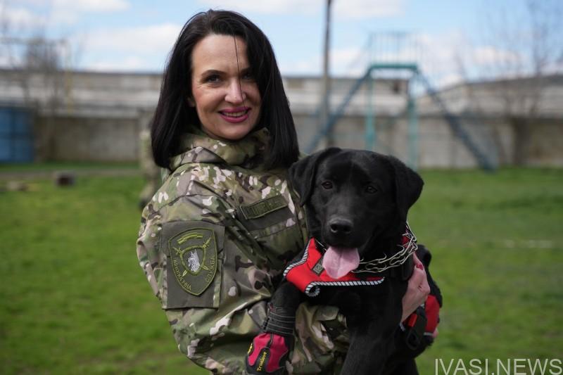 В Одесі тренують понад 50 собак-поліцейських: тварини допомагають розкривати злочини