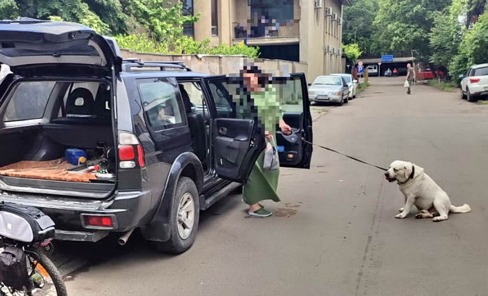 В Одессе женщина закрыла собаку в автомобиле на солнце