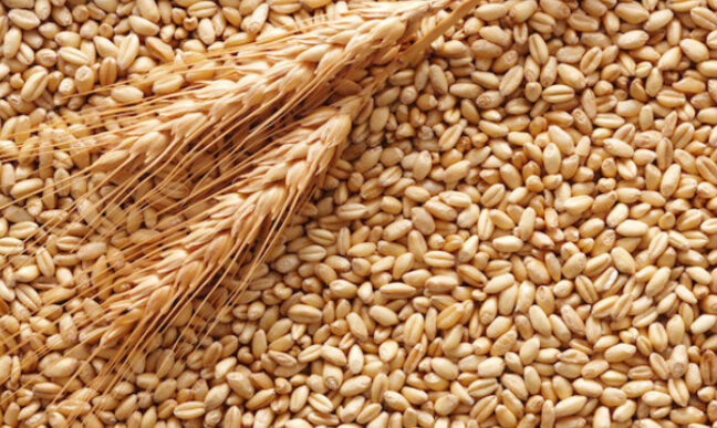 Залишки зерна з регіонів будуть віддавати для допомоги державам Африки та Азії