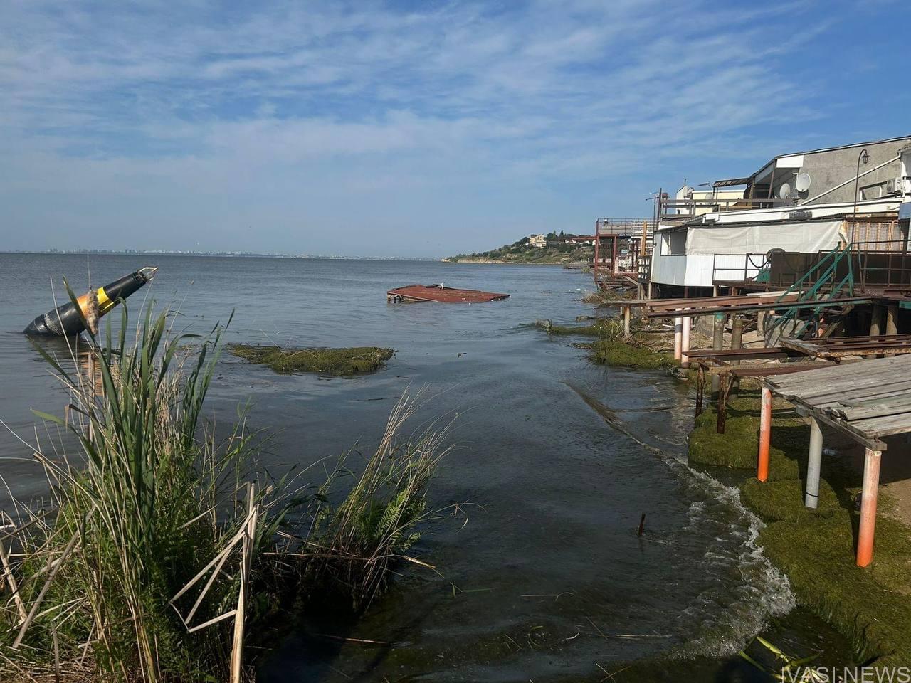 Екологи взяли проби морської води на трьох пляжах Одеси: що виявлено