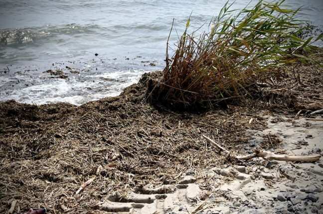 В Одесі офіційно заборонили купання у морі