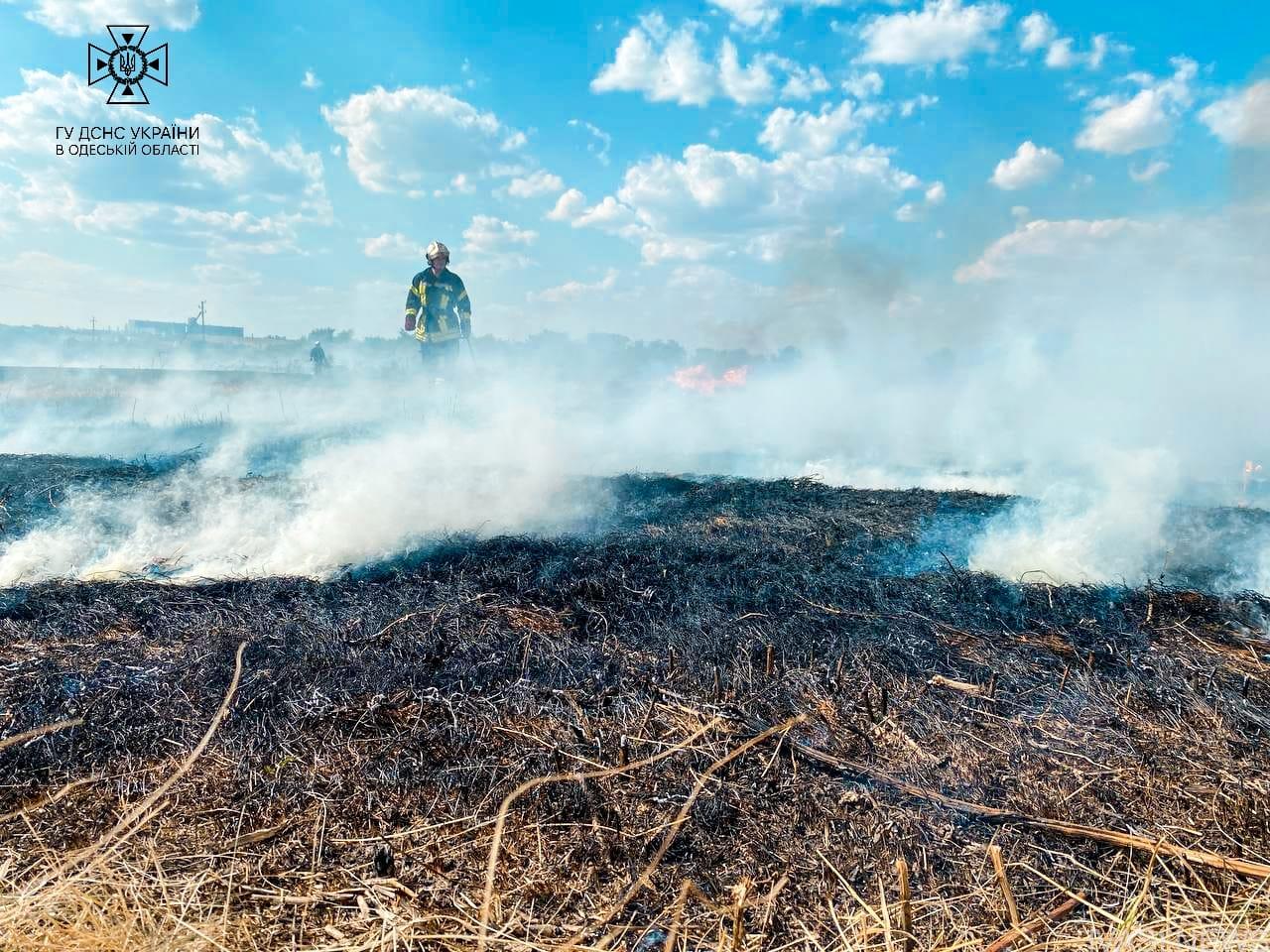 На Одещині за тиждень вигоріло понад 10 гектарів землі