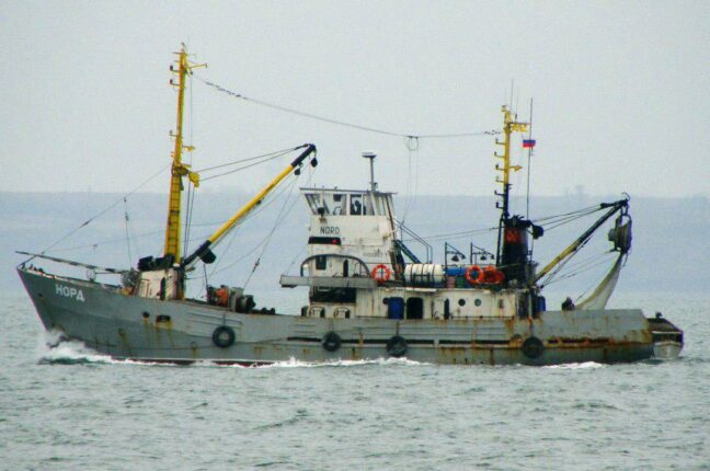 Оновлено правила промислового рибальства у Чорному морі