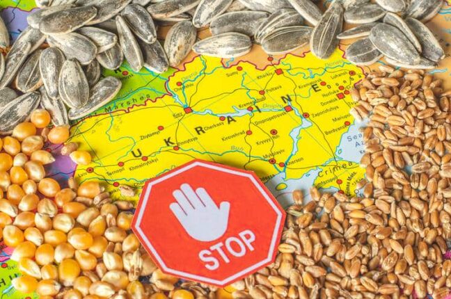 Через польське ембарго на українське зерно Польщі загрожують санкції від сусідів по ЄС