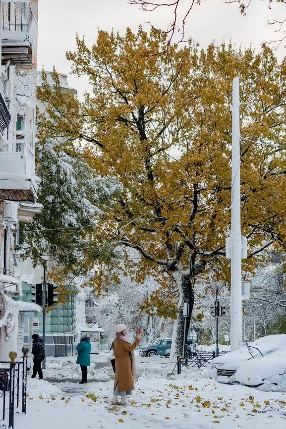 Одесский фотограф показала красивую Одессу под снегом (фото)