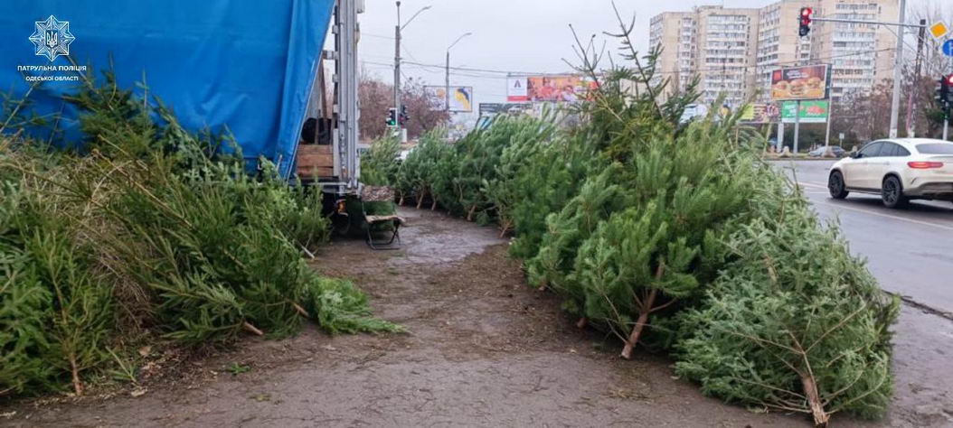 В Одессу привезли незаконные елки – полиция проводит проверку