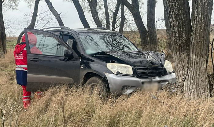 Под Одессой водитель Toyota RAV4 погиб в ДТП после столкновения с деревом