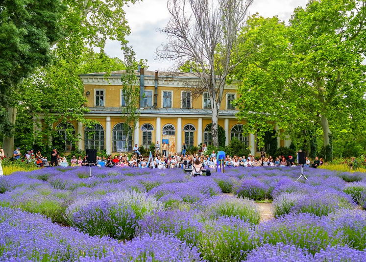 В Одесском ботсаду состоялся концерт среди лавандового поля (фото)