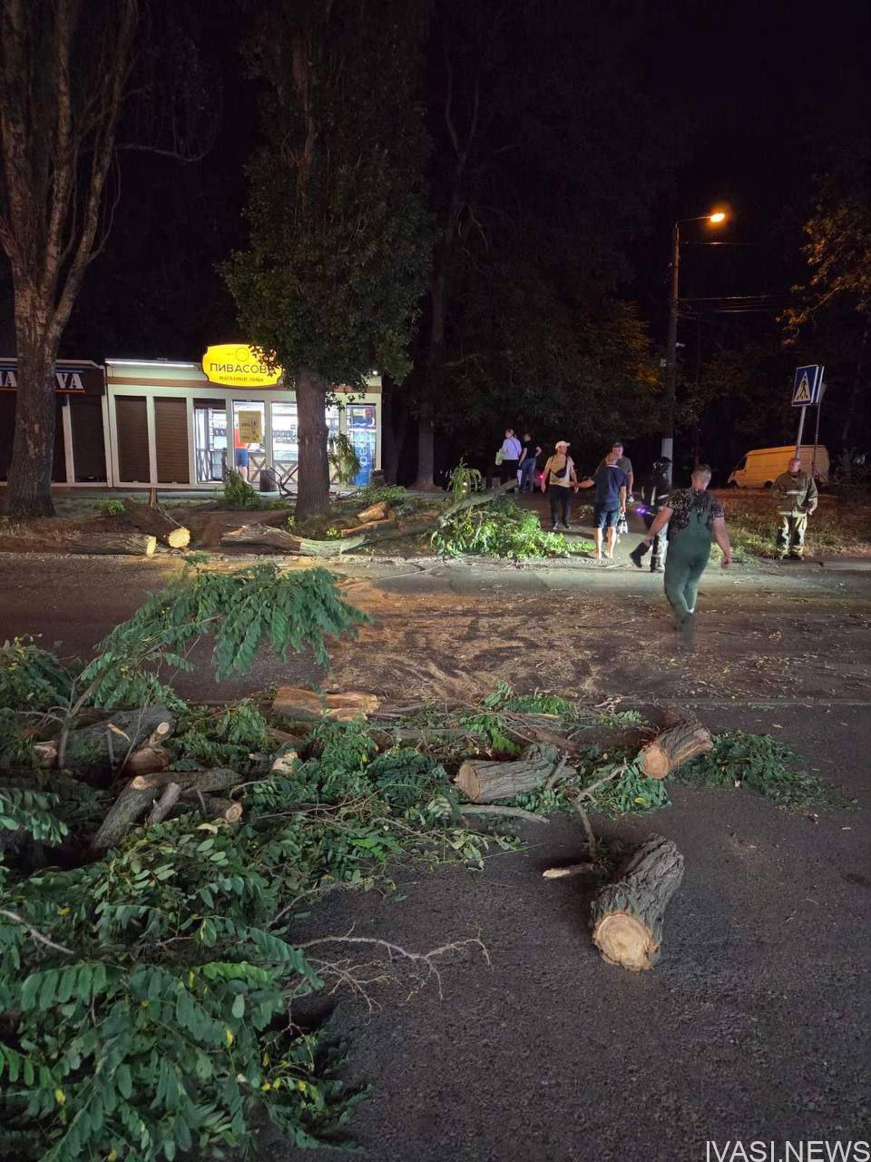 Штормовий вітер в Одесі: ліквідація наслідків негоди триває (фото)