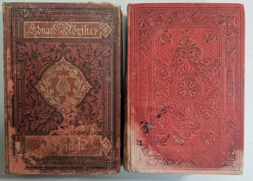 Из Одессы пытались вывезти за границу две старинные книги