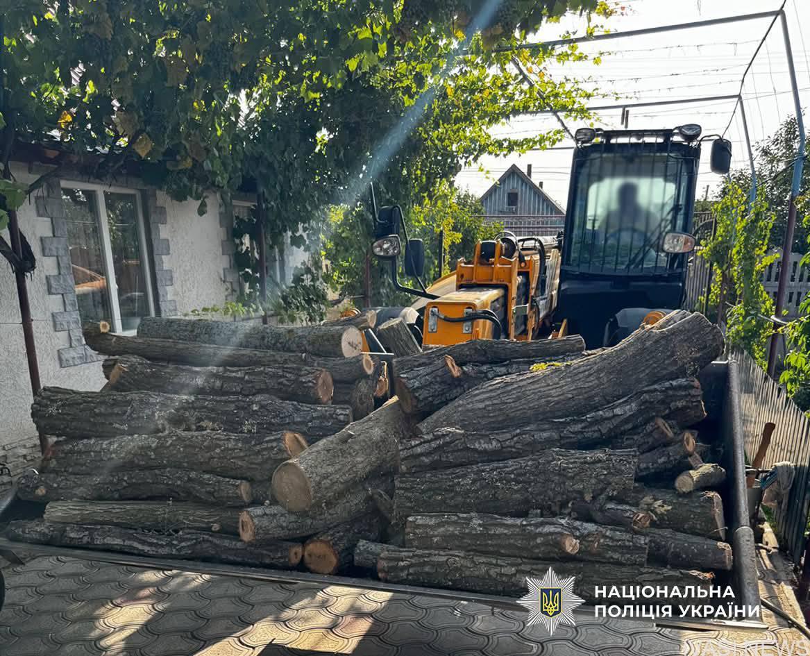 Незаконна вирубка дерев на Одещині: чоловікам загрожує до 7 років в’язниці (фото)