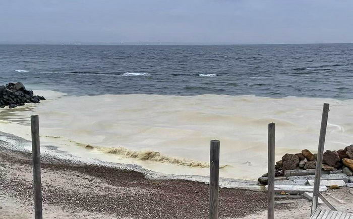 Экологическая катастрофа в Одессе – на пляжах обнаружили масштабные пятна масла, погибли десятки птиц