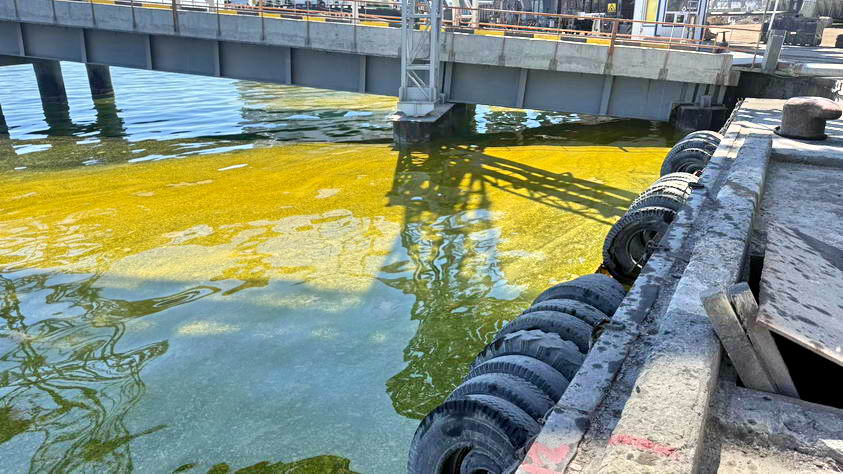 В Черноморске после обстрелов россии разлилось 6000 тонн растительного масла