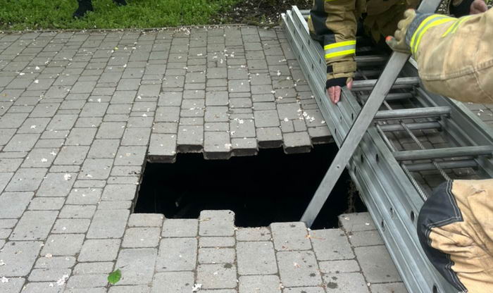 В одесском парке 10-летняя девочка внезапно провалилась под землю